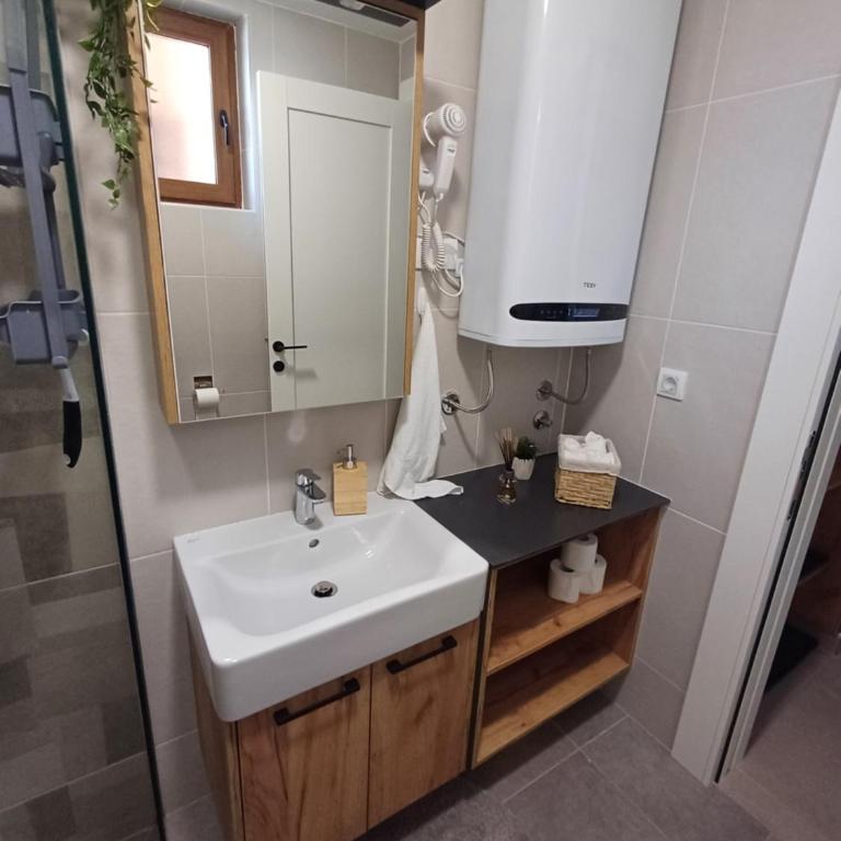 Apartman Nina Divcinova - Apartman sa 1 Spavaćom Sobom - 16