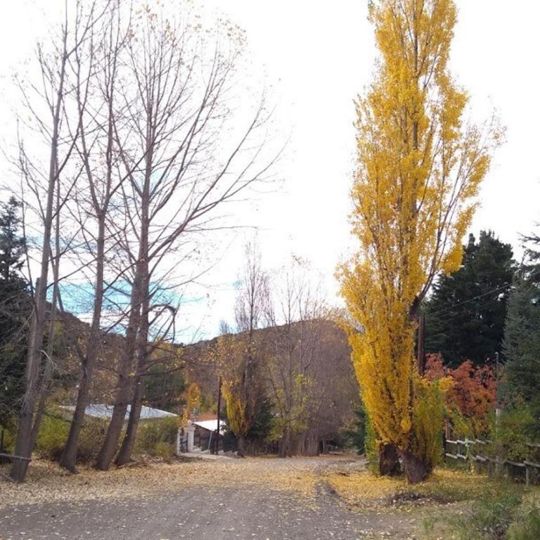 Casa de montaña, confort total - Chalet de 2 dormitorios - 3