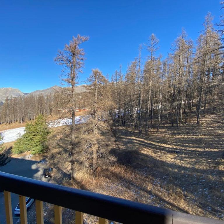 06CO beautiful apartment at the foot of the slopes with balcony - Apartamento - 8