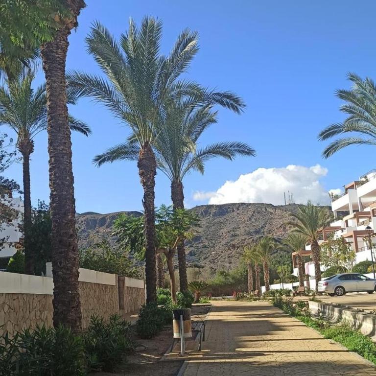 2 Bed Apt - Close To Beach - Pool - Balcony - Apartamento - 14