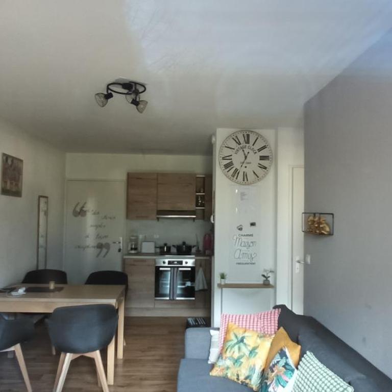 T2 Calme assuré face à la pique les Ramel - Appartement 1 Chambre - 10