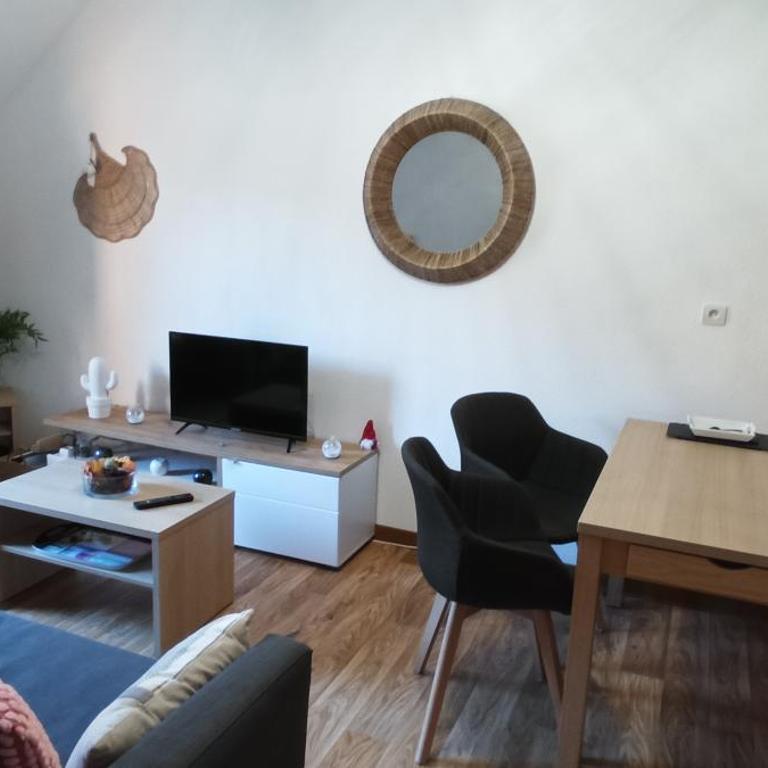 T2 Calme assuré face à la pique les Ramel - Appartement 1 Chambre - 11
