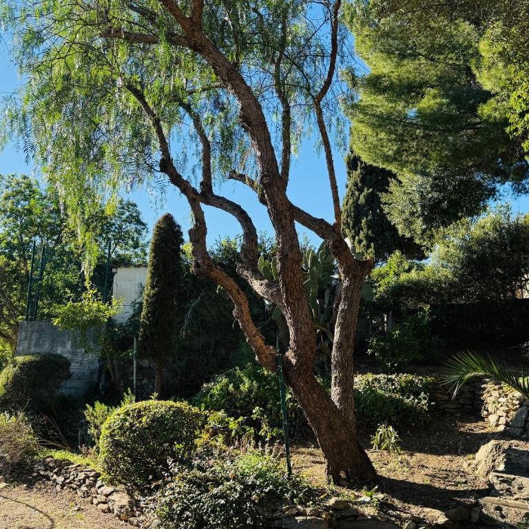 Authentique Villa le Cactus entièrement rénovée climatisée proche des plages du centre du Lavandou et du supermarché - Villa Standard - 14