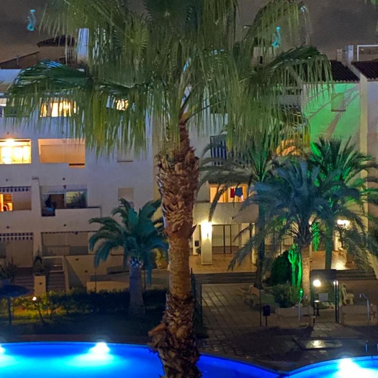 Apartament Szumiące Palmy Port Tomás Maestre - Apartamento de 1 dormitorio con vistas a la piscina - 17