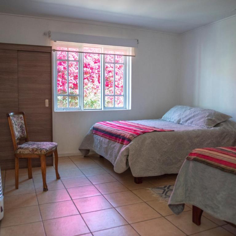 Hostal Casa 95 - Large Double Room - 3