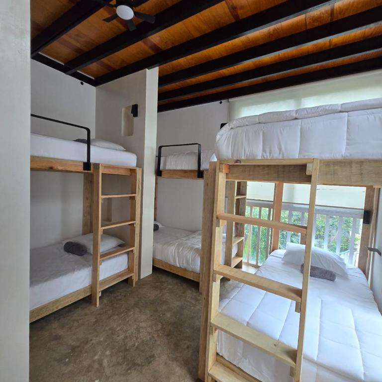 HOM Hostel Boutique - Single Bed in Mixed Dormitory Room - 1
