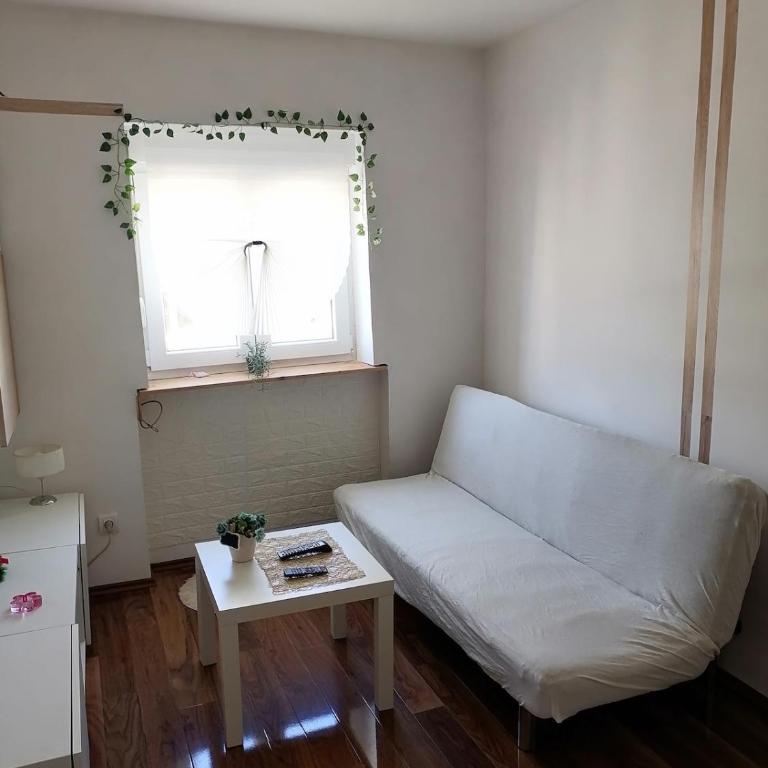 Small low cost studio Dorcol - One-Bedroom Apartment - 10