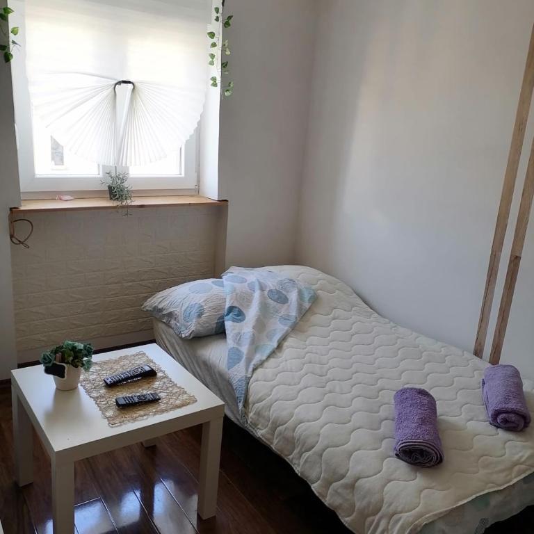 Small low cost studio Dorcol - One-Bedroom Apartment - 16