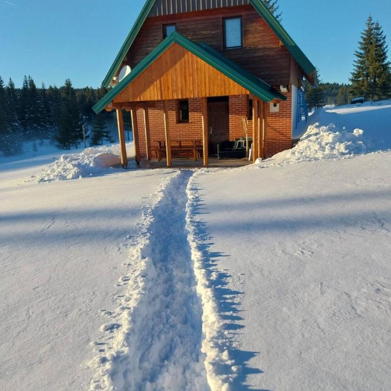 House in forest - Three-Bedroom House - 35