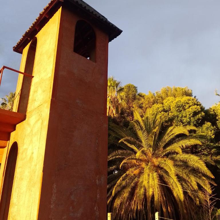 Waldhaus, la casa del bosque - Apartamento de 2 dormitorios - 1