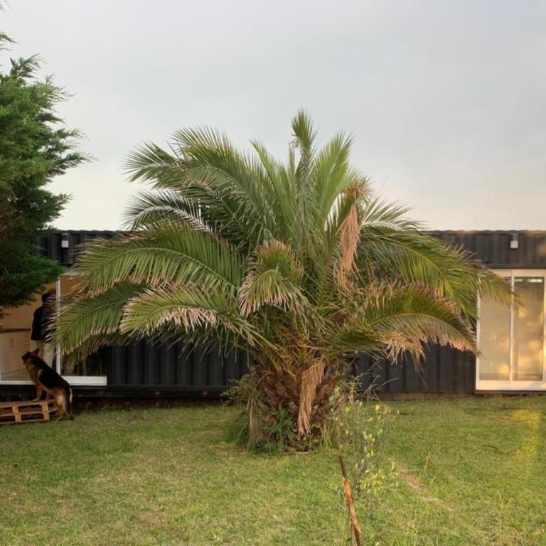 Sonido del Mar - Apartamento familiar de 1 dormitorio - 10