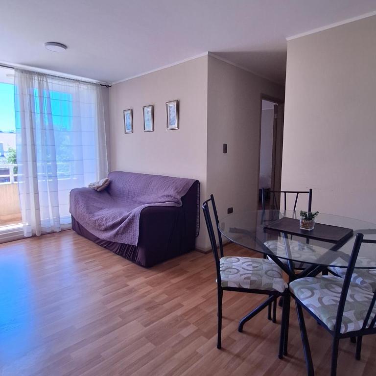 Condominio Alto Durand Temuco, con Estacionamiento, a min de Av Alemania, casino , tiendas portal, a cuatro kilómetros del centro , amoblado, disponible - Apartamento de 1 dormitorio - 10
