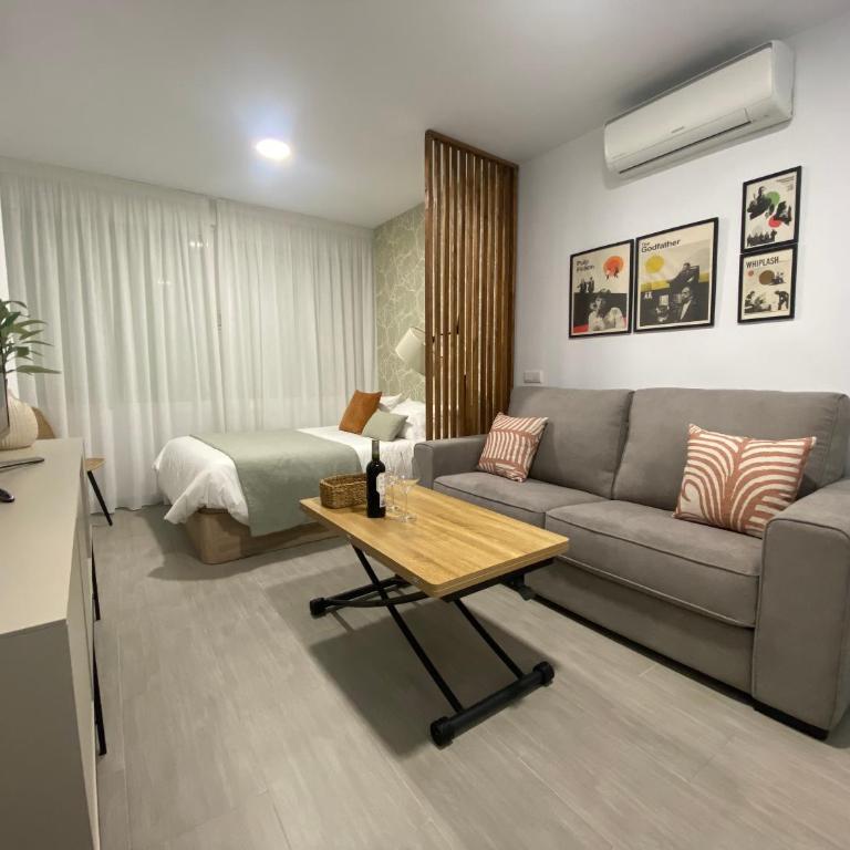 Kino Studie - One-Bedroom Apartment - 13