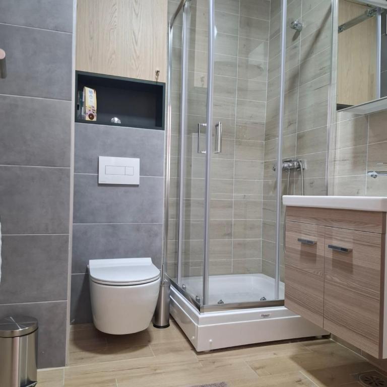 Apartman Silvija 2 Divčibare - One-Bedroom Apartment - 5
