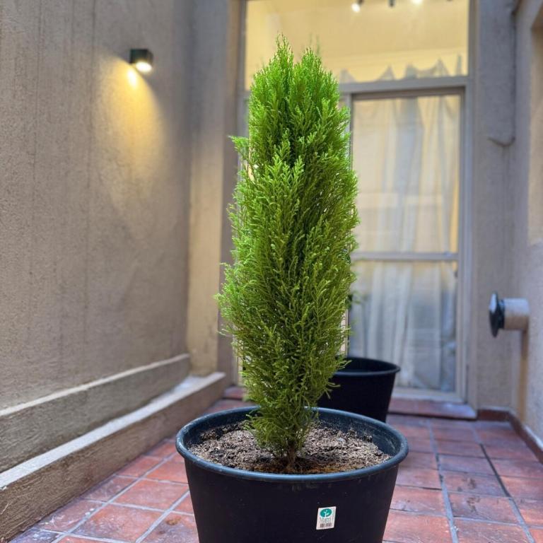 Beautiful and comfortable dpto in the heart of Palermo - Apartamento de 2 dormitorios - 9