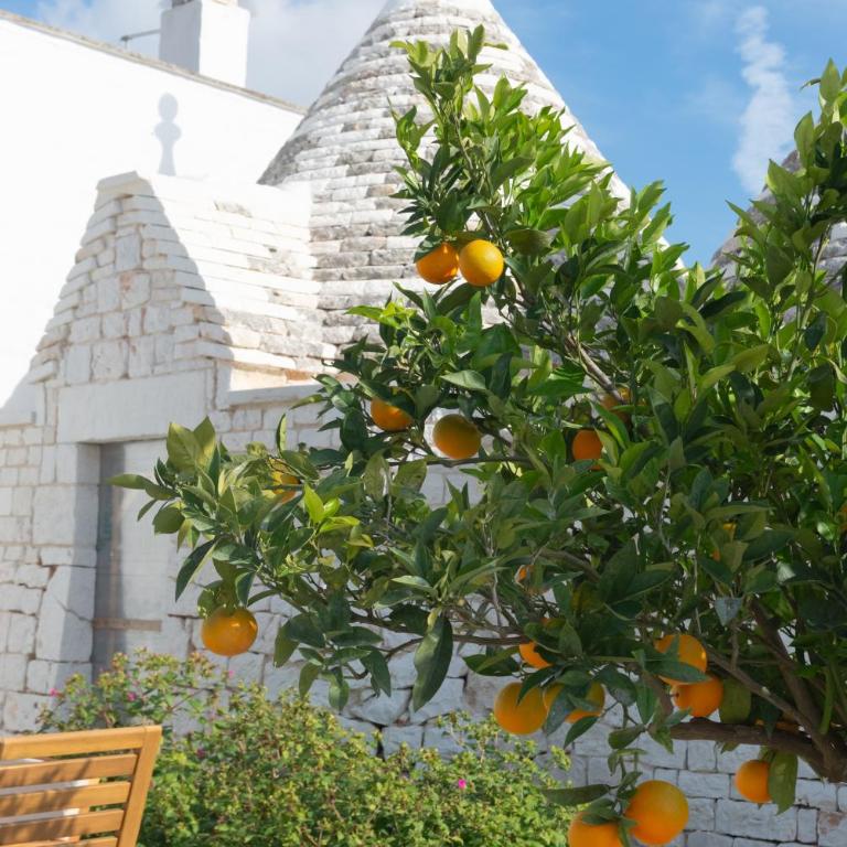 Trulli Mirabilis - Villa con 2 Camere da Letto - 40