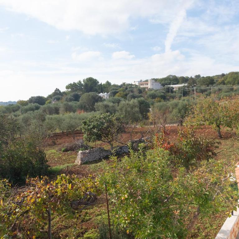 Trulli Mirabilis - Villa con 2 Camere da Letto - 44