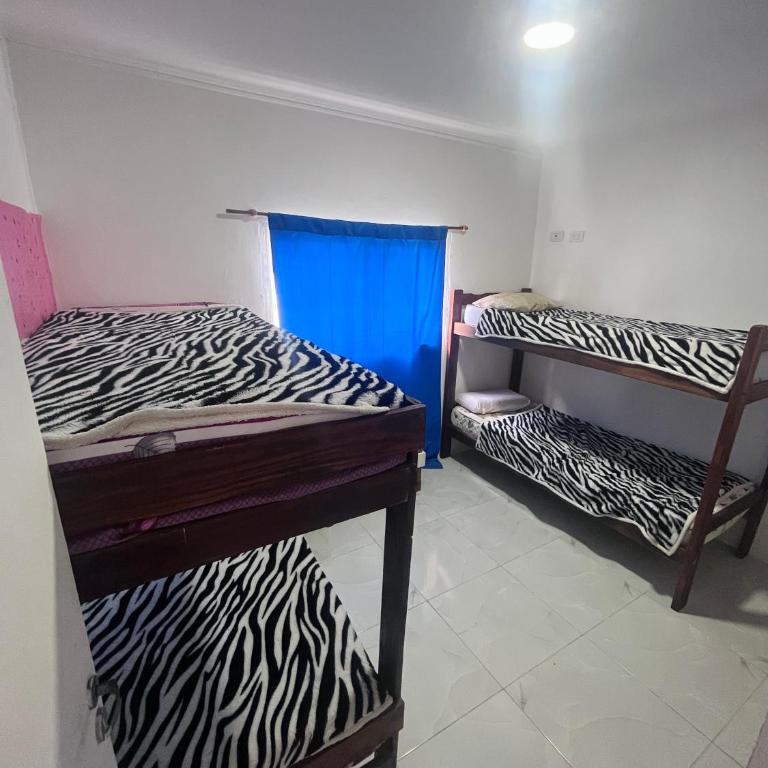 Casa - Gesell - Apartamento de 2 dormitorios - 5