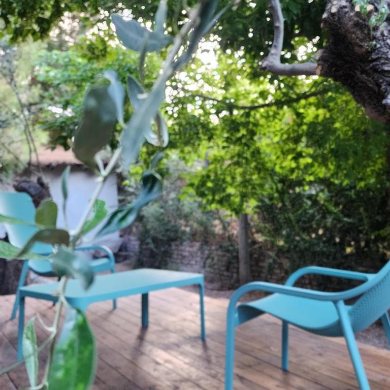 Las Nandinas - Olivo - Apartamento de 1 dormitorio - 20