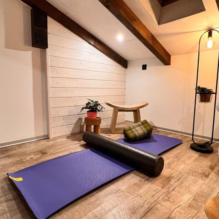 Cozy Alpine Attic - Apartment mit 1 Schlafzimmer und Whirlpool - 19