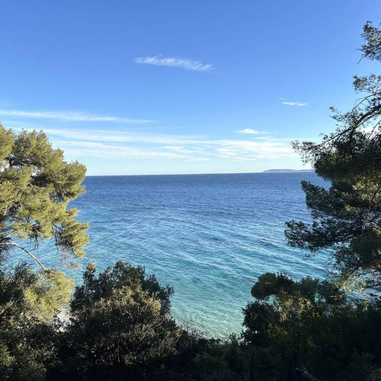 Appartement calme avec climatisation, terrasse et parking au Lavandou - FR-1-251-856 - Apartment - 11