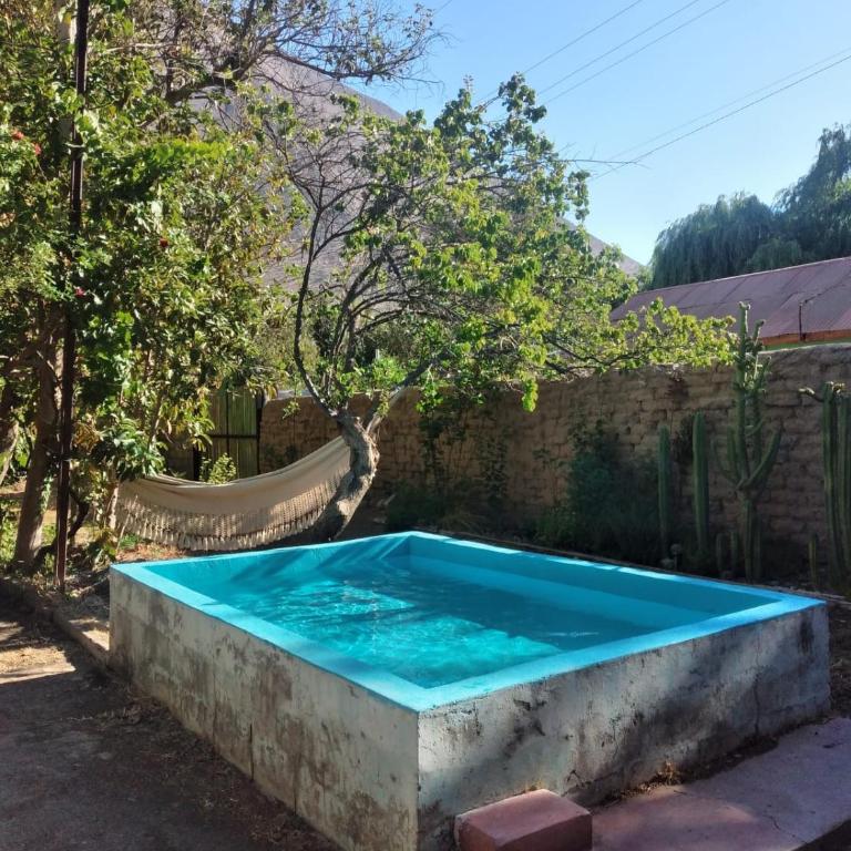 Elqui Sol - Double Room - 7