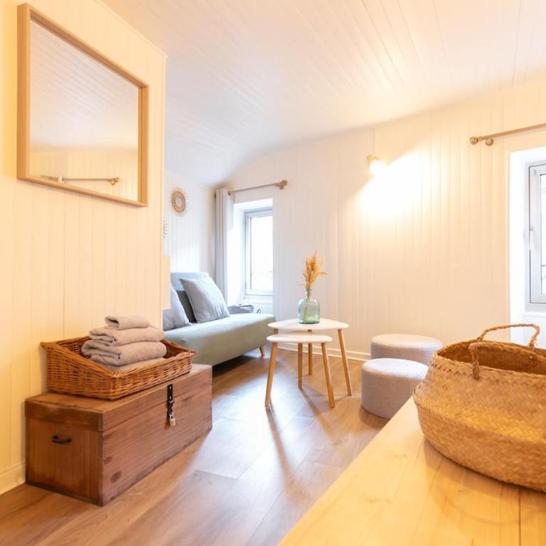 Au Petit Sommet - Cerf Brun Appartement centre ville 35M2 - Apartment mit 1 Schlafzimmer – Nichtraucher - 15