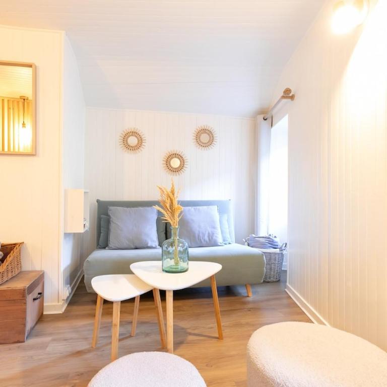 Au Petit Sommet - Cerf Brun Appartement centre ville 35M2 - Apartment mit 1 Schlafzimmer – Nichtraucher - 1