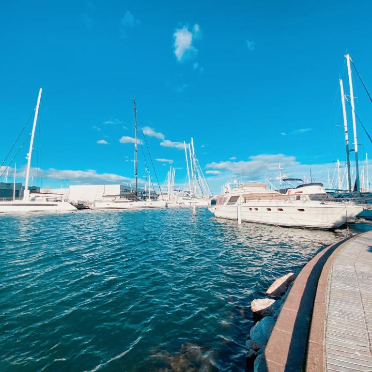Superbe T2 au calme avec balcon sur la marina - 10 - Appartement 1 Chambre - 20