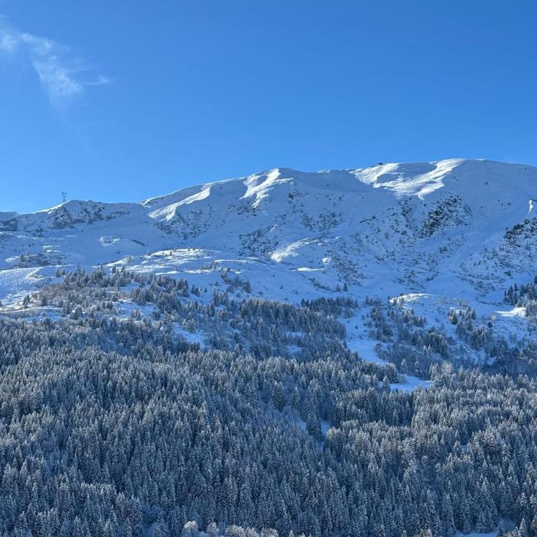 Brand new luxury appartement in morel 50 meters from the slopes - Apartamento - 31