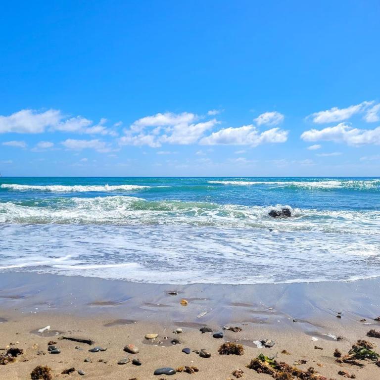 1 bed penthouse apt in Calahonda - Apartamento con terraza - 37