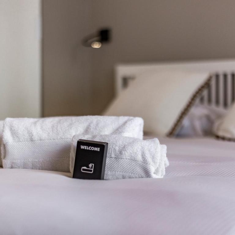 All in Lyon | Chalet urbain chic climatisé Lyon 6 - Appartement - 6