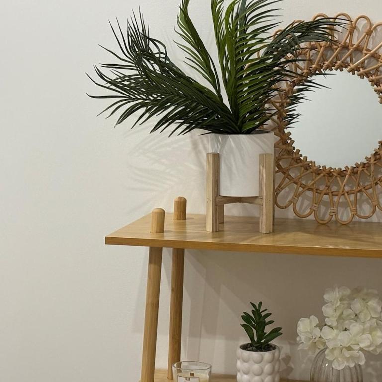 T2 cosy au cœur de Perpignan - Appartement 1 Chambre - 11