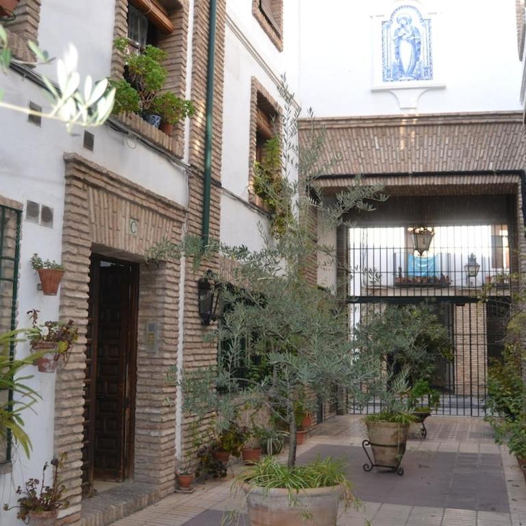 Apartamento en Casco Histórico - Apartamento de 2 dormitorios - 14