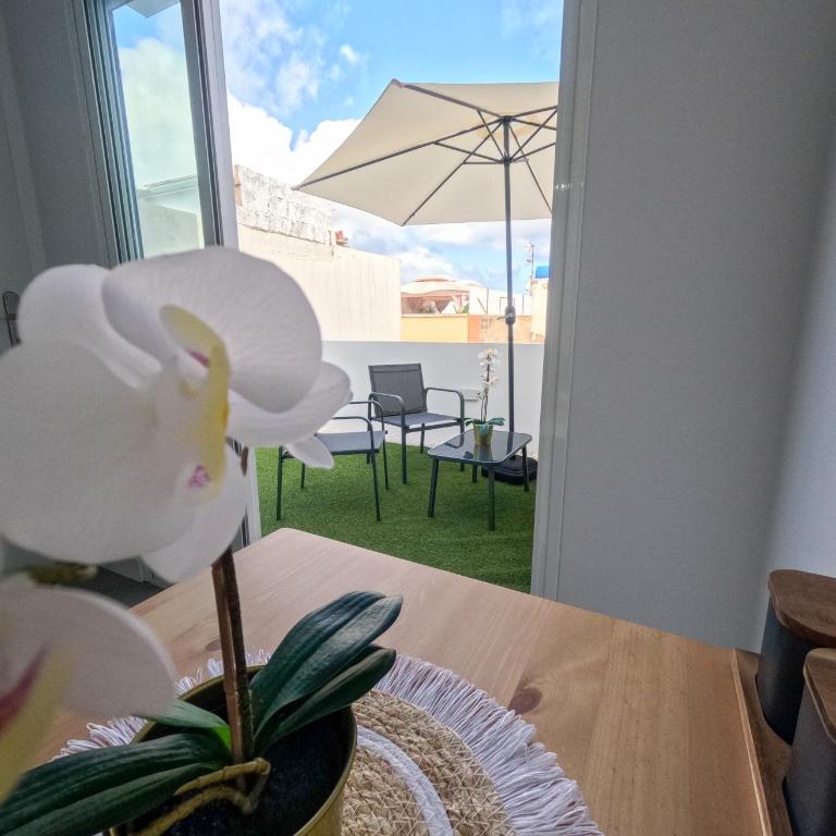 Violeta Suite - Deluxe One-Bedroom Apartment - 7