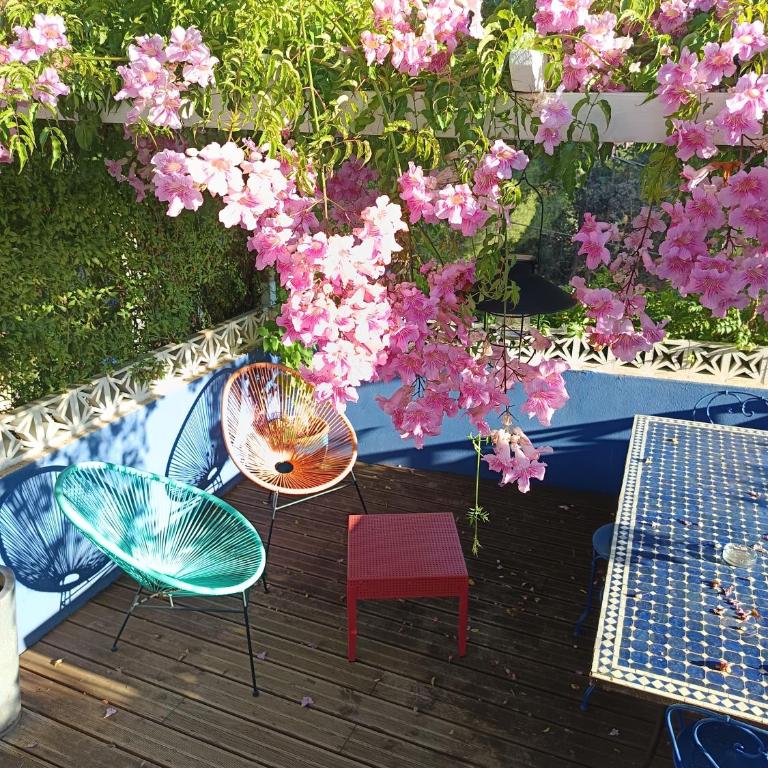 Studio indépendant terrasse entre mer et collines - Appartement 1 Chambre - 1