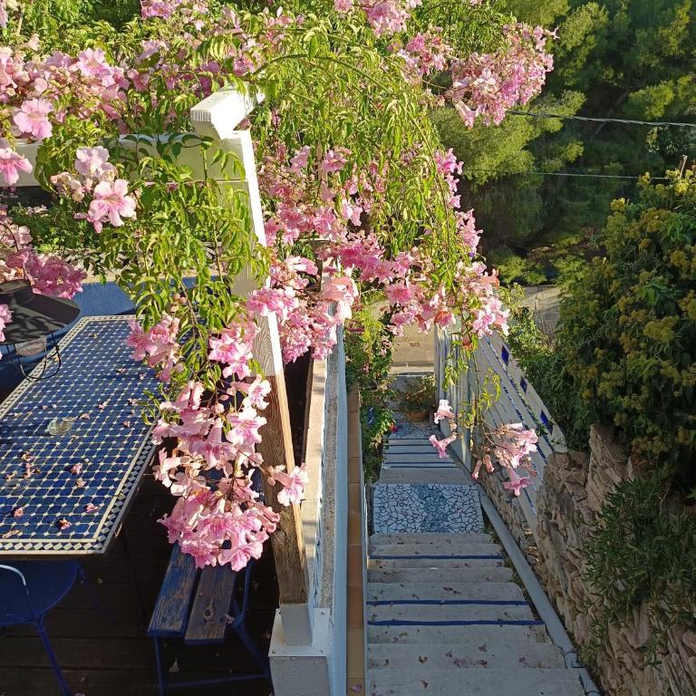 Studio indépendant terrasse entre mer et collines - Appartement 1 Chambre - 3