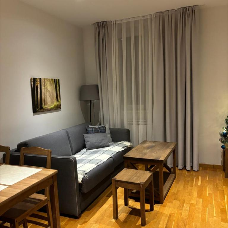 BRZECE SKI GONDOLA & FREE PARKING apartment - One-Bedroom Apartment - 2
