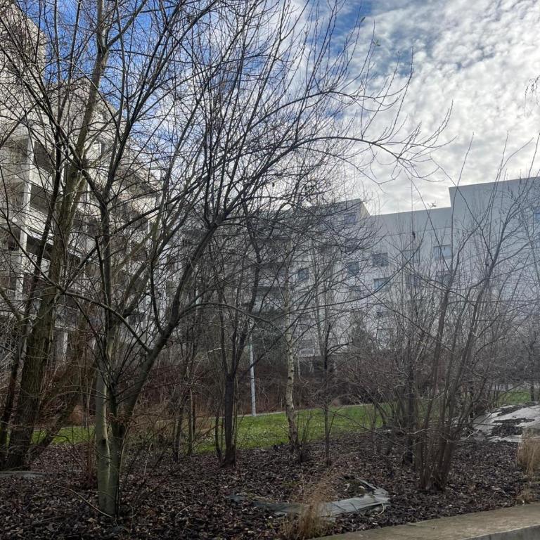 Cozy studio near tram - center - One-Bedroom Apartment - 14