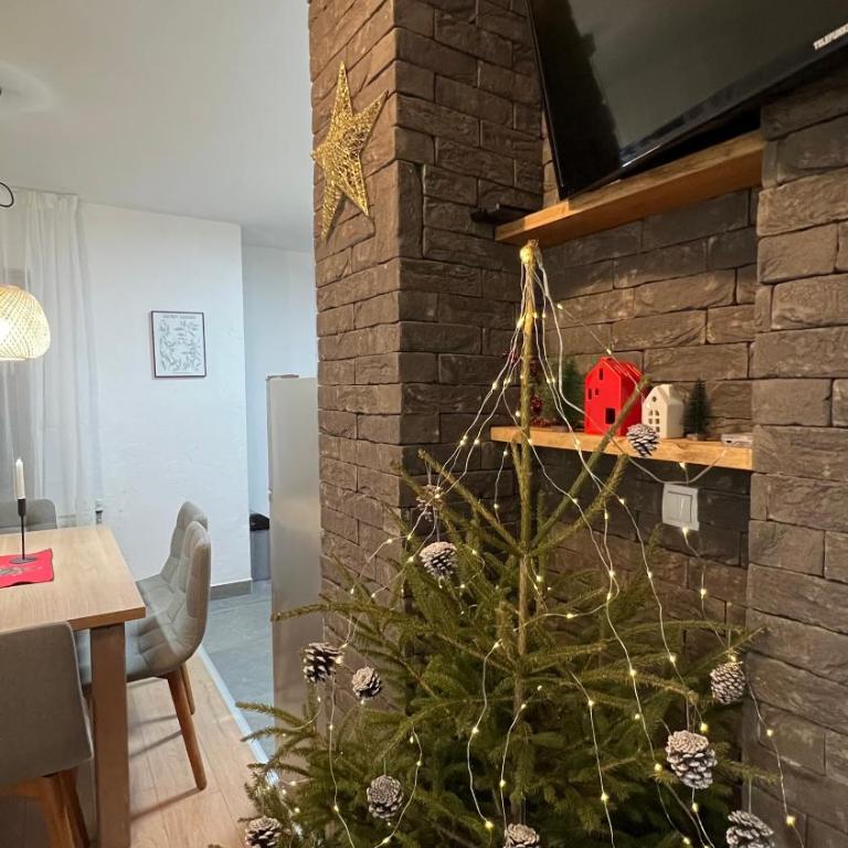 Apartmani Kiki 2 - Apartman sa 1 Spavaćom Sobom - 9