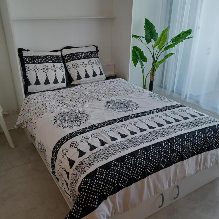 Appartement dans le centre proche des plages - Appartamento - 16