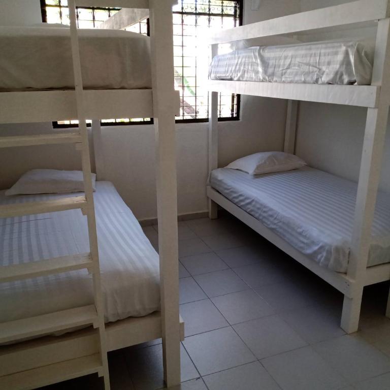 Las Palmas HOSTAL Cancun - Cama en habitación compartida masculina de 4 camas - 1