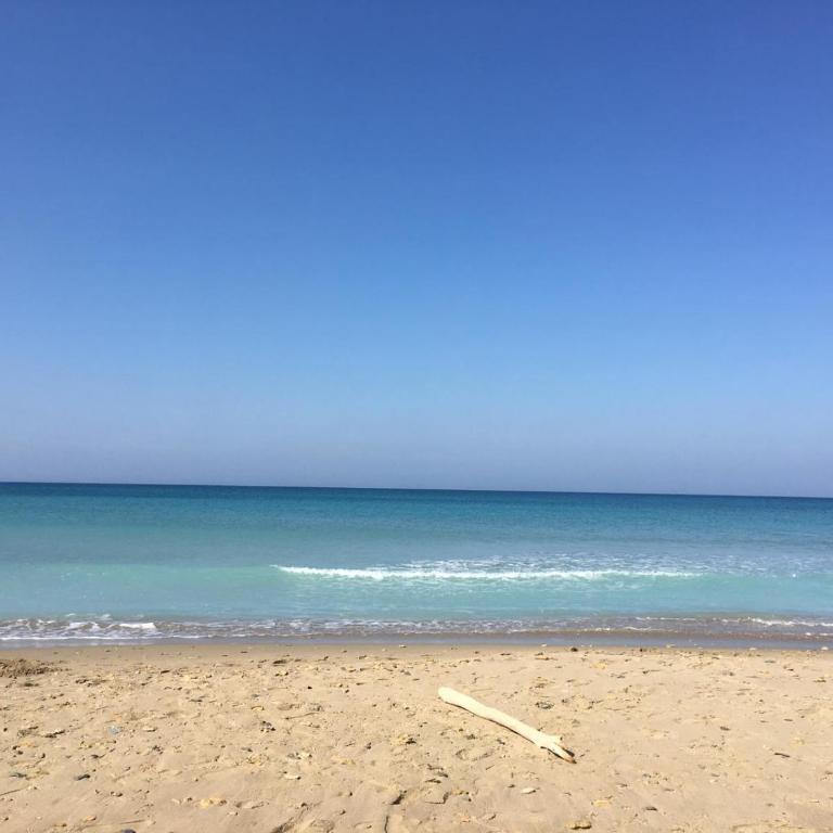 La Torre vista mare - Vacation Home - 25