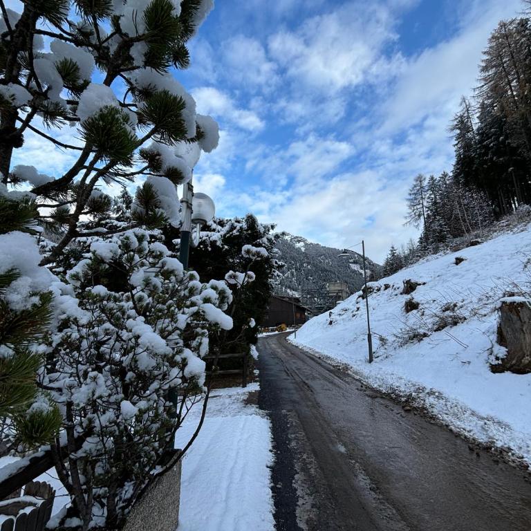 Appartamenti Des Alpes - Apartment mit 1 Schlafzimmer - 16