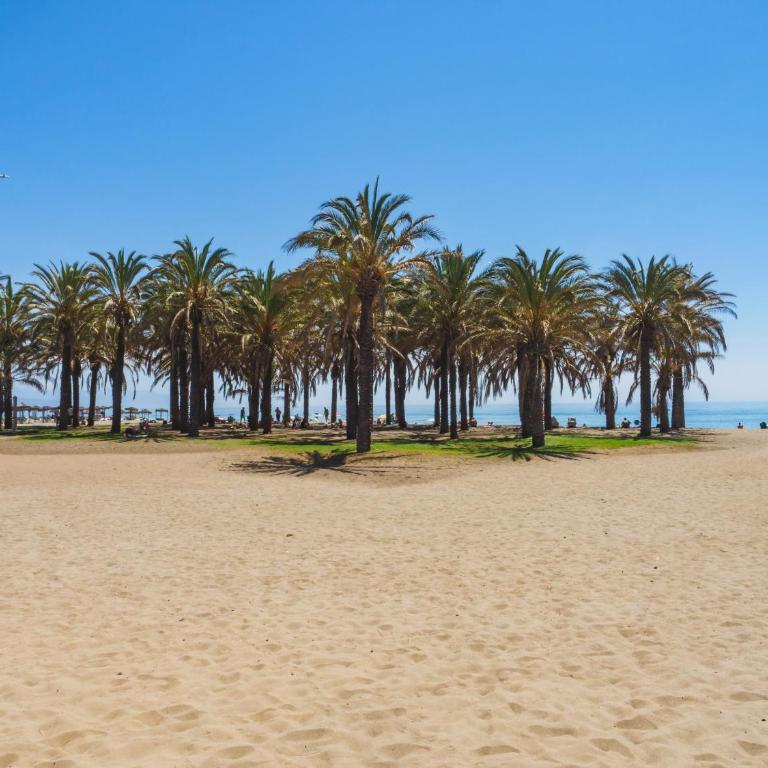 Cubo's Sea View Studio 100m from the Beach - Estudio - 35