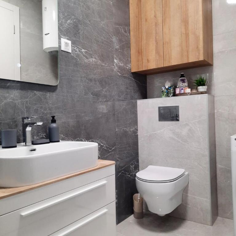 Apartman Palata Centar - Apartman sa 1 Spavaćom Sobom - 9