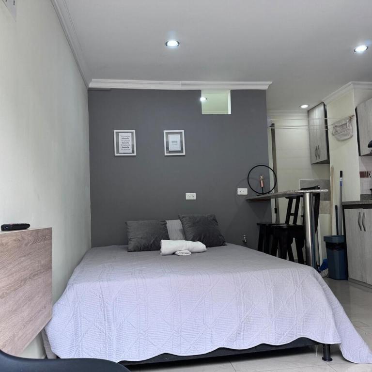 Central Aparta Estudio Belén Rosales - Apartamento de 1 dormitorio - 14