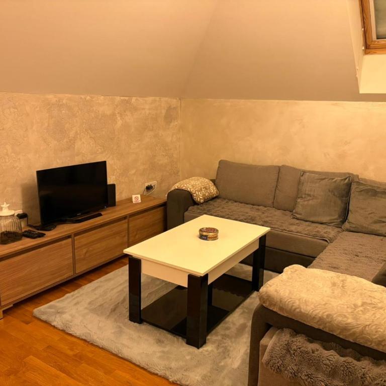 Panajotovic Apartman - Apartman sa 1 Spavaćom Sobom - 1