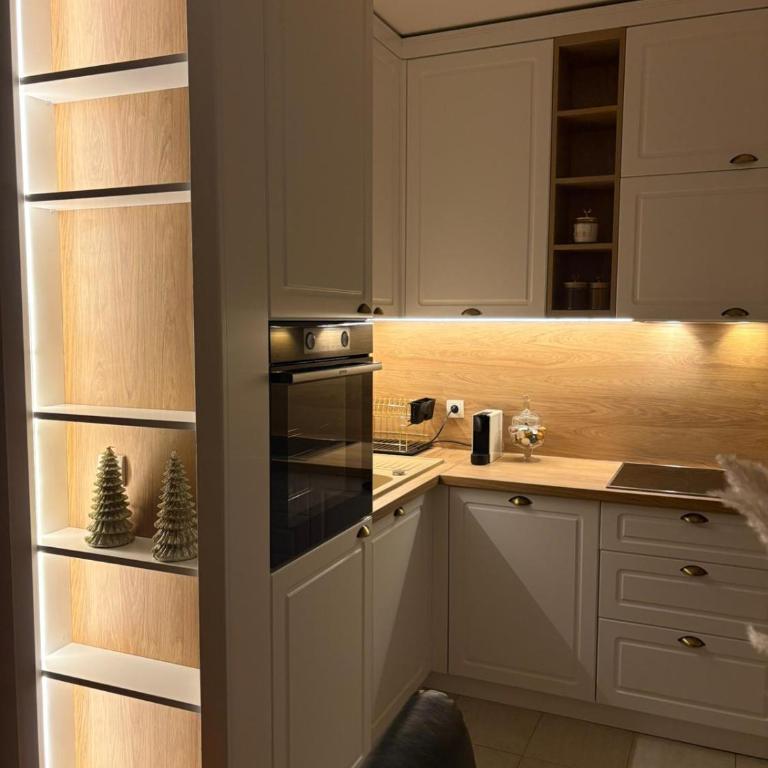 Panajotovic Apartman - Apartman sa 1 Spavaćom Sobom - 2