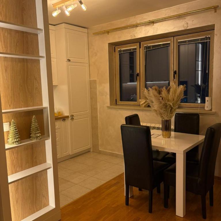 Panajotovic Apartman - Apartman sa 1 Spavaćom Sobom - 4